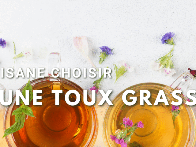 "Une tasse de tisane avec des herbes médicinales pour soulager une toux grasse, accompagnée du texte 'QUELTE TISANECHOISIR POUR UNE TOUX GRASSE'."